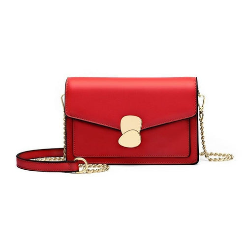 Small Square Chain Crossbody Bag